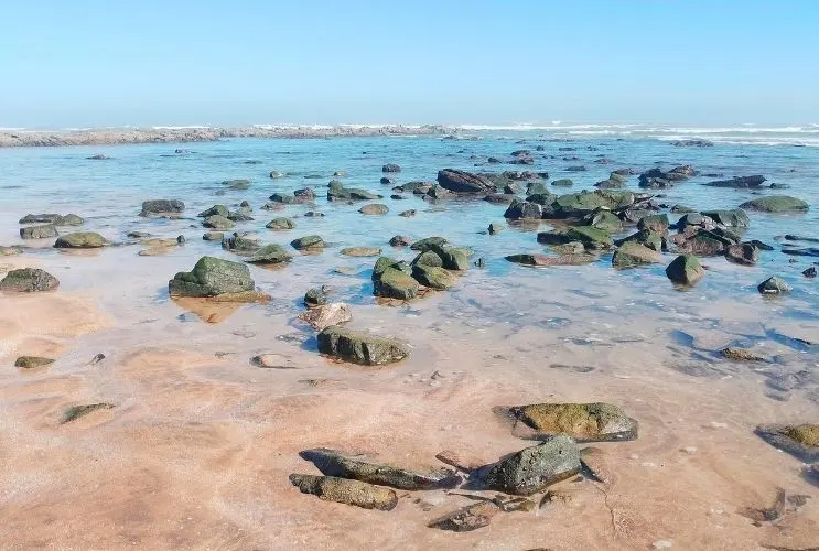 Ocean tides influenced by the Moon