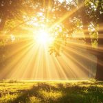sun