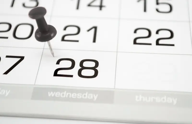What Day of the Year Is It