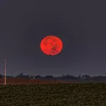 Blood Moon