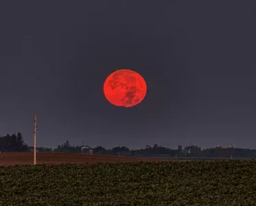 Blood Moon