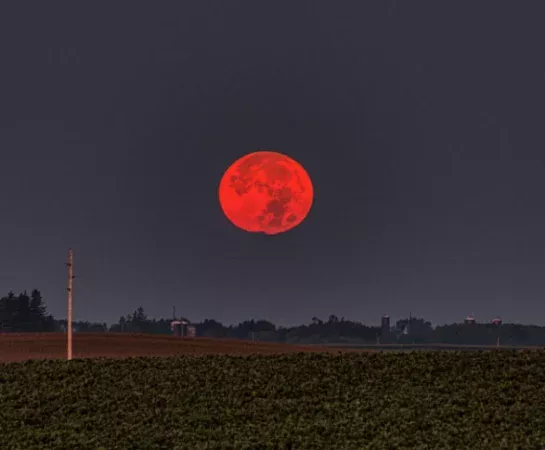 Blood Moon