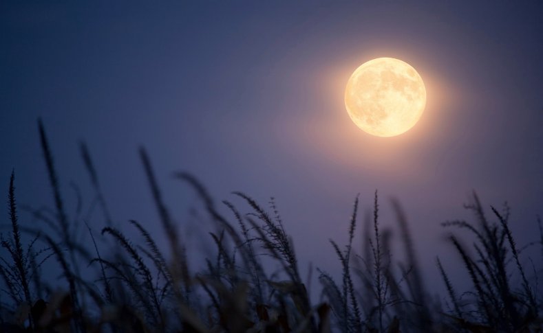 Harvest Moon