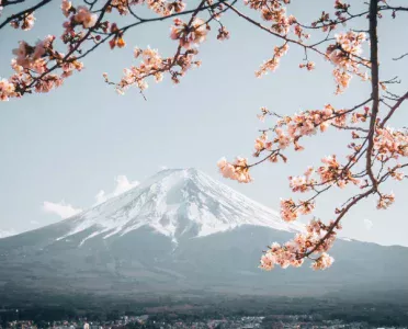Mount Fuji