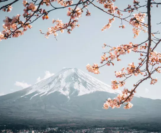 Mount Fuji