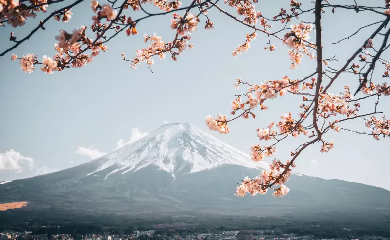 Mount Fuji