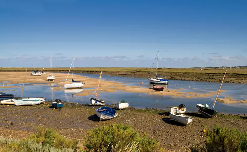 The Moving Clock of the Tides